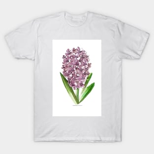 Printed Paper Quilling Art by Hyunah Yi/ Hyacinth flower/Mother&ampAnniversary/Birthday/Thank you gift/Botanical Art/Spring flower Art/Handmade T-Shirt